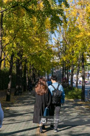 du lịch seoul, tham quan seoul, thủ đô seoul, không phải tự nhiên mà người ta nói: nhất định phải đến hàn quốc một lần vào mùa thu lá vàng