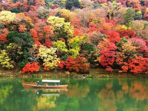 Lịch lá vàng lá đỏ mùa thu ở Hàn Quốc và Nhật Bản