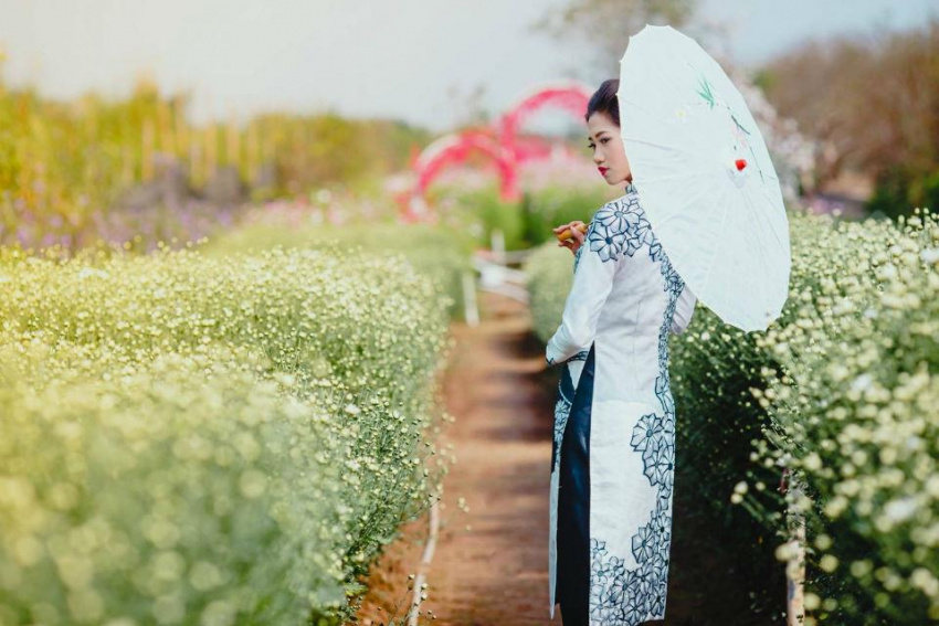 Chiêm ngưỡng sắc hoa xuân tại các làng hoa của Hà Nội
