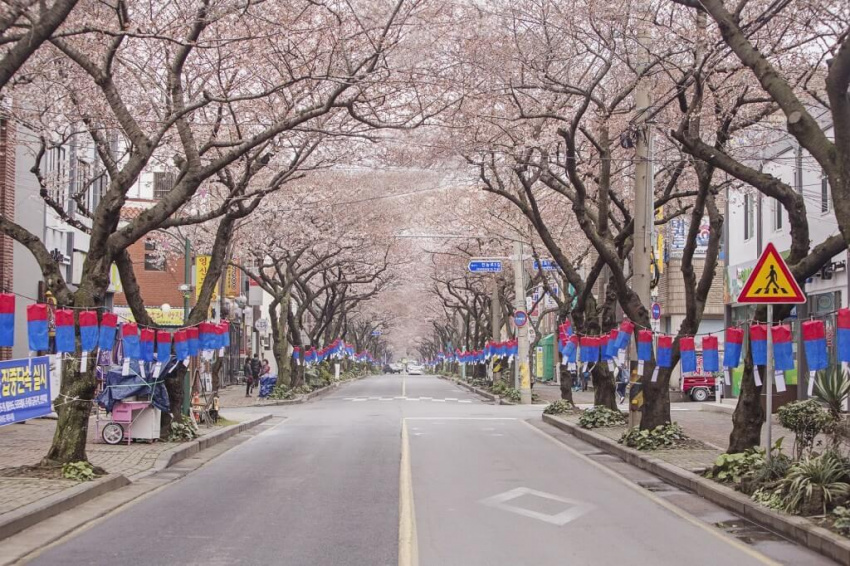 Khám phá các lễ hội truyền thống Hàn Quốc