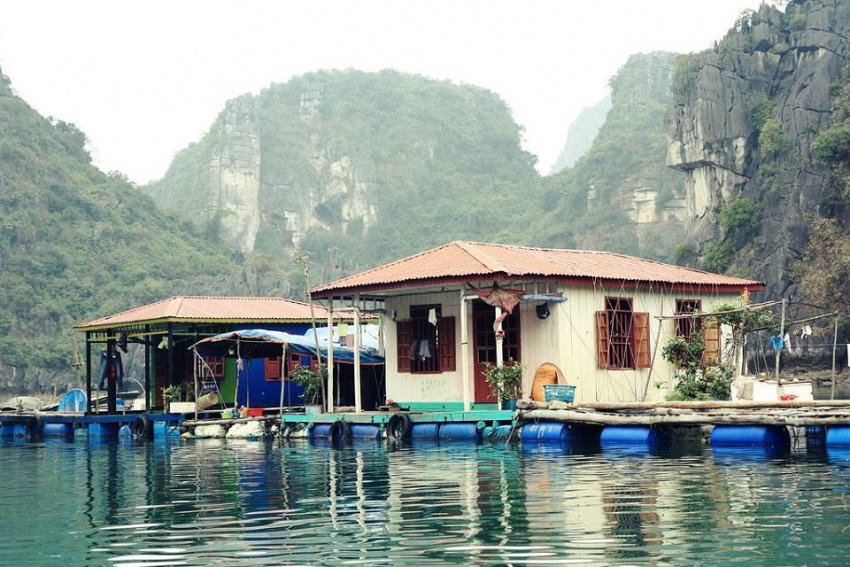 Làng chài Cửa Vạn, ngôi làng cổ đẹp nhất thế giới ở Hạ Long