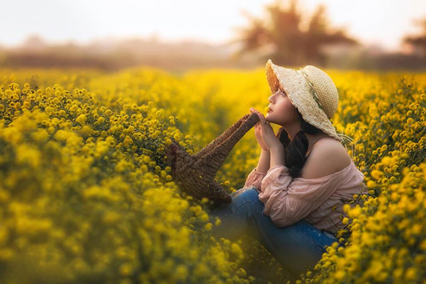 Điểm danh những cánh đồng hoa đẹp nhất tại Việt Nam