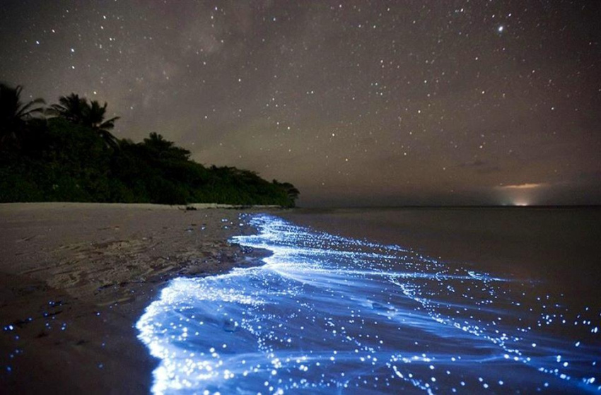 Đón năm mới ở Maldives, trải nghiệm đêm đẳng cấp Water Villa giữa biển
