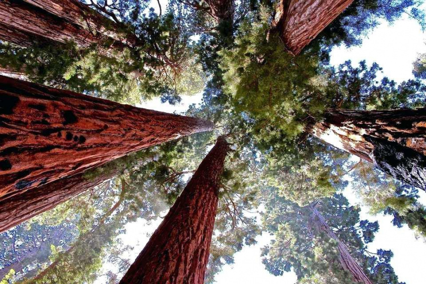 Khám phá 5 công viên, khu bảo tồn hàng đầu ở California