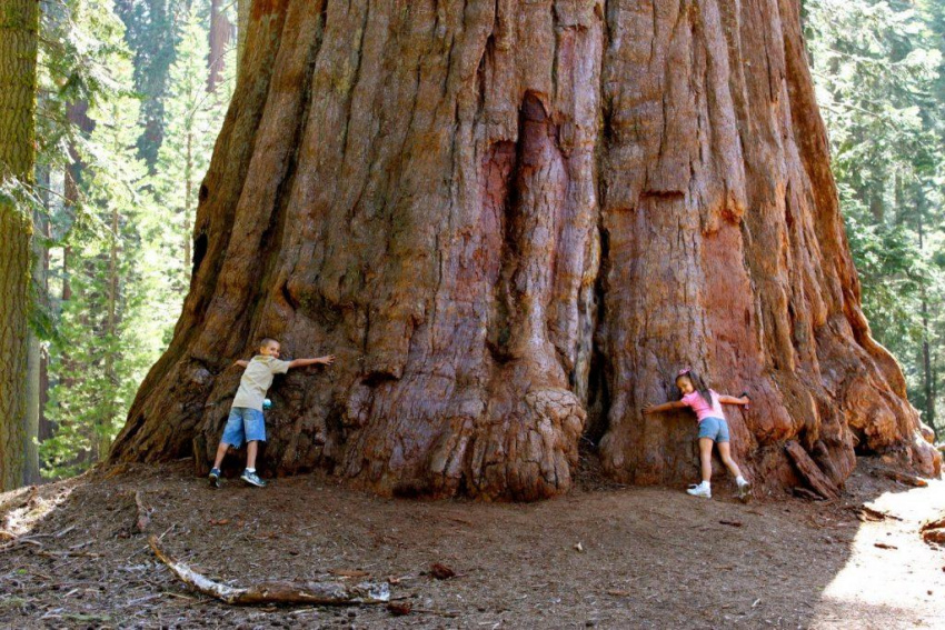 Khám phá 5 công viên, khu bảo tồn hàng đầu ở California