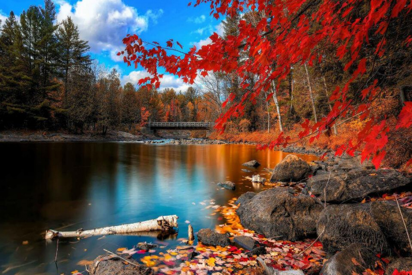 Cảnh sắc mùa thu tại Canada đẹp đến nao lòng
