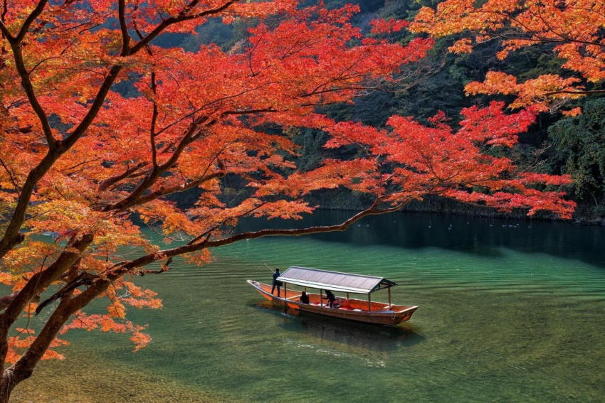 Ghé thăm Hokkaido, vùng đất đón mùa thu sớm nhất Nhật Bản