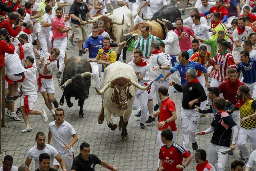 Cuồng nhiệt cùng lễ hội bò tót ở Pamplona, Tây Ban Nha