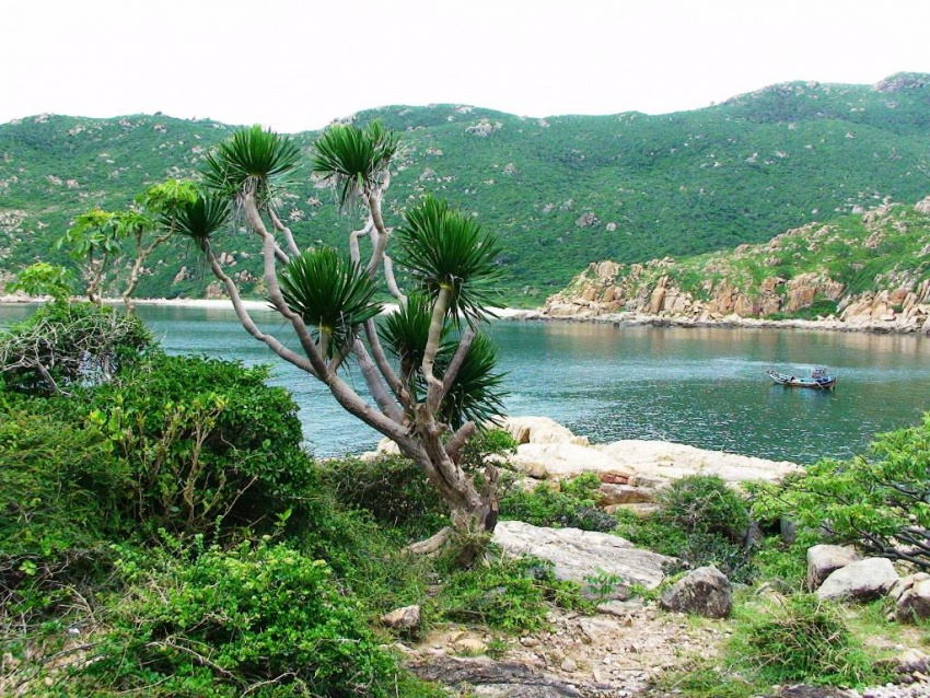 Đảo San Hô và những điểm đến cuốn hút ở Ninh Thuận