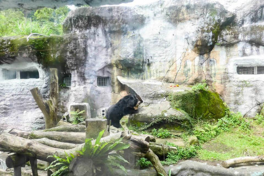 Cùng trẻ khám phá thế giới qua những vườn thú nổi tiếng