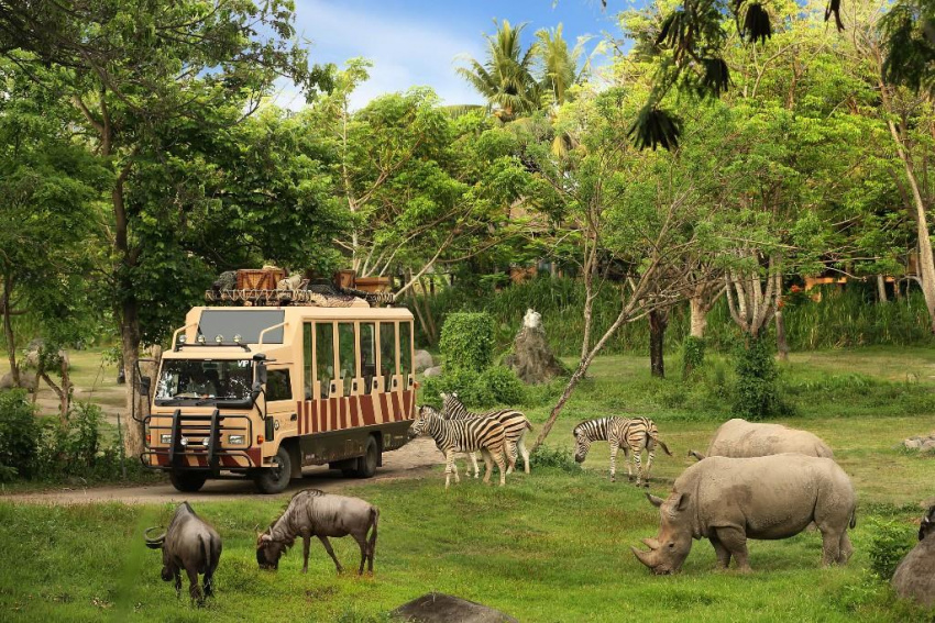 Cùng trẻ khám phá thế giới hoang dã ở Vinpearl Safari Phú Quốc
