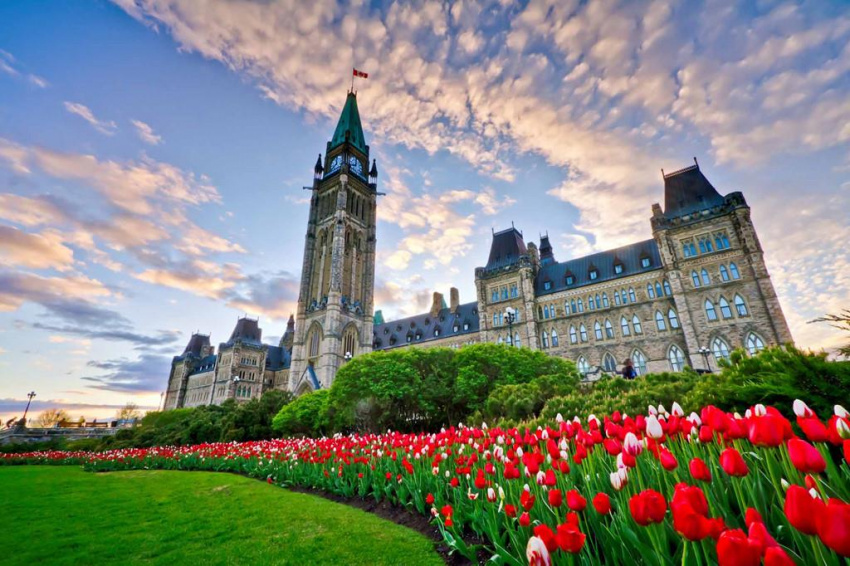 Đến Canada thưởng lãm lễ hội hoa Tulip lớn nhất thế giới ở Ottawa