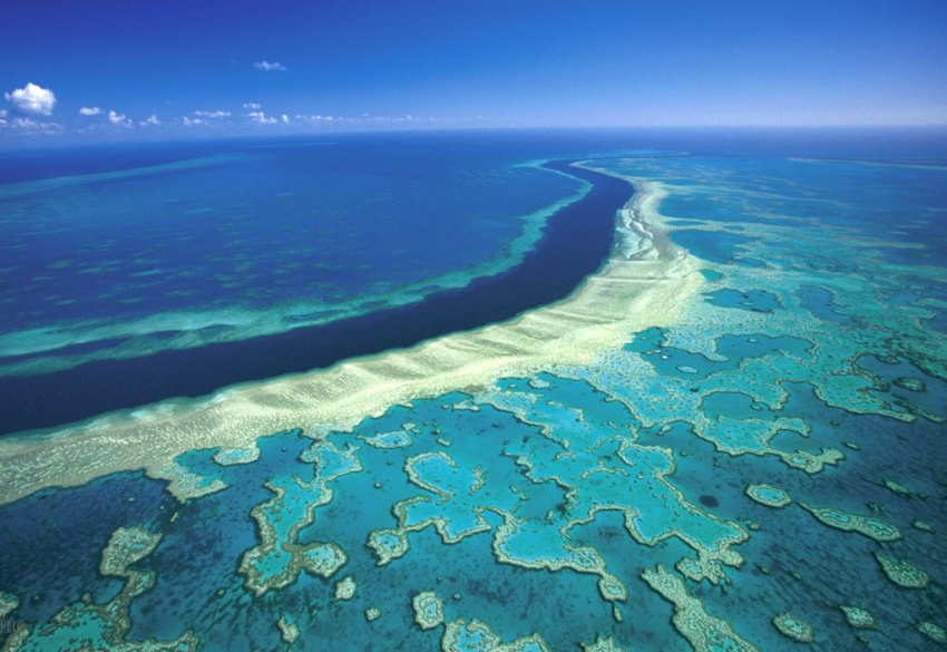 Great Barrier, thiên đường lặn ngắm san hô ở Úc