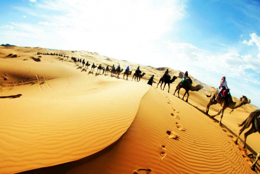 Khám phá sa mạc Sahara để tìm hiểu những điều bạn còn chưa biết
