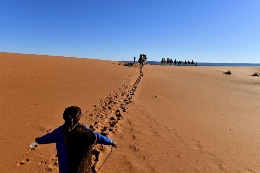 Khám phá sa mạc Sahara để tìm hiểu những điều bạn còn chưa biết
