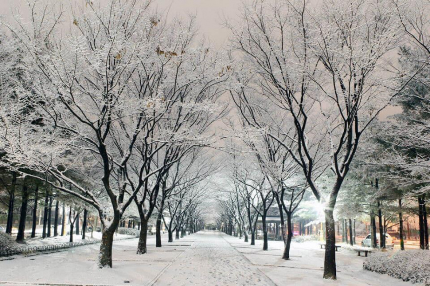 Trái tim yêu thêm mùa đông Hàn Quốc