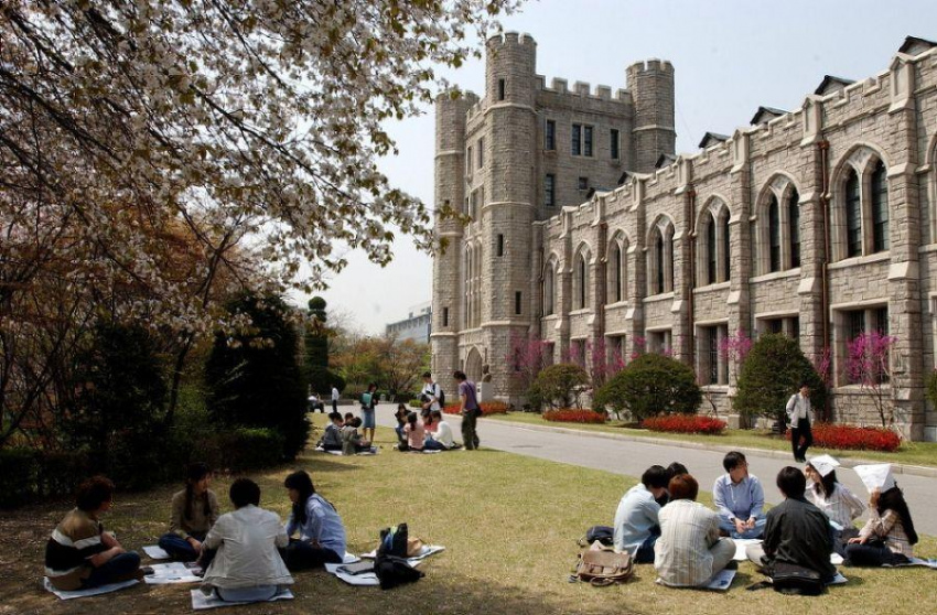 Hoa anh đào tại các trường đại học Hàn Quốc và Trung Quốc