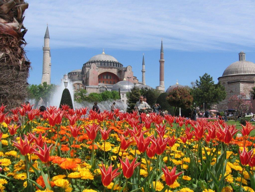 Rực rỡ sắc màu lễ hội hoa tulip Thổ Nhĩ Kỳ