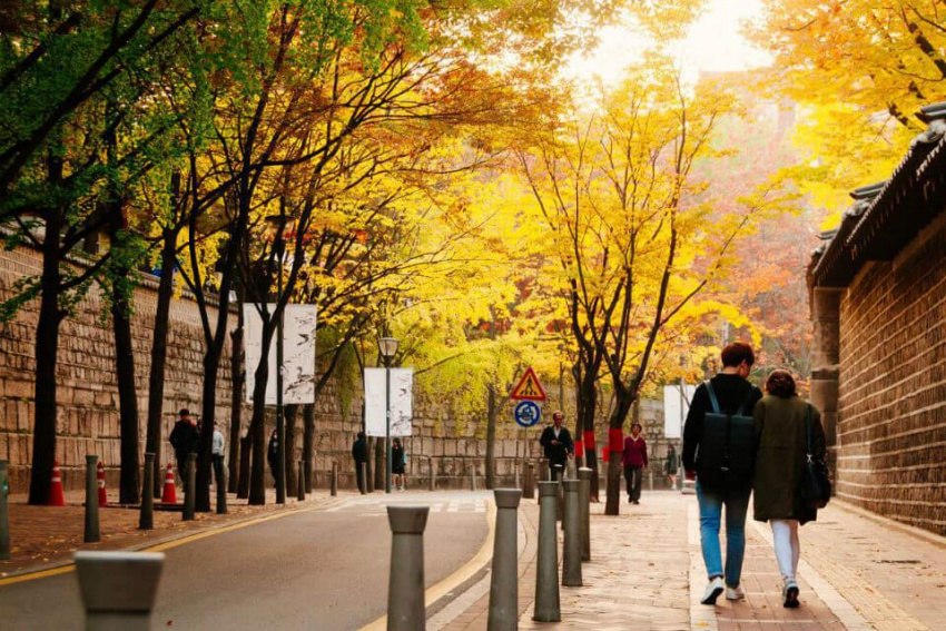 Những con đường đẹp đến nao lòng tại Hàn Quốc