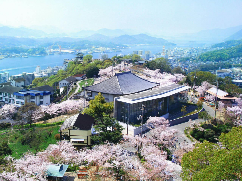 Du lịch Nhật Bản, du thuyền thưởng ngoạn mùa hoa anh đào