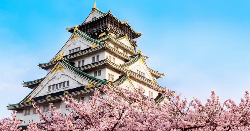 Du lịch Nhật Bản từ Vinh ngắm hoa anh đào nở rộ