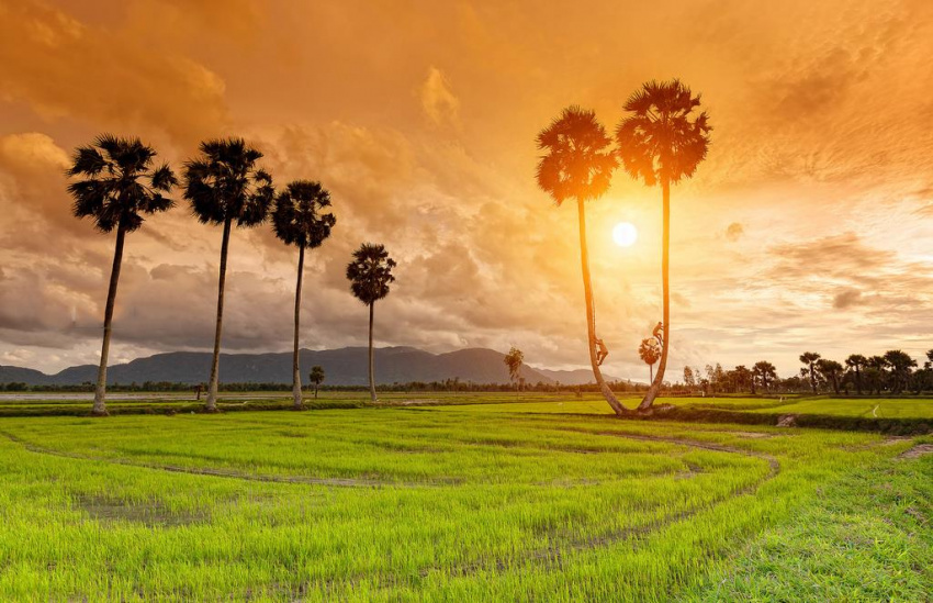 15 ngày xuyên Việt, khám phá mọi miền đất nước Việt Nam