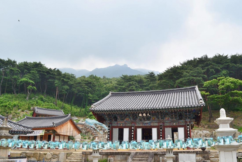Daegu, thiên đường du lịch khó cưỡng xứ kim chi