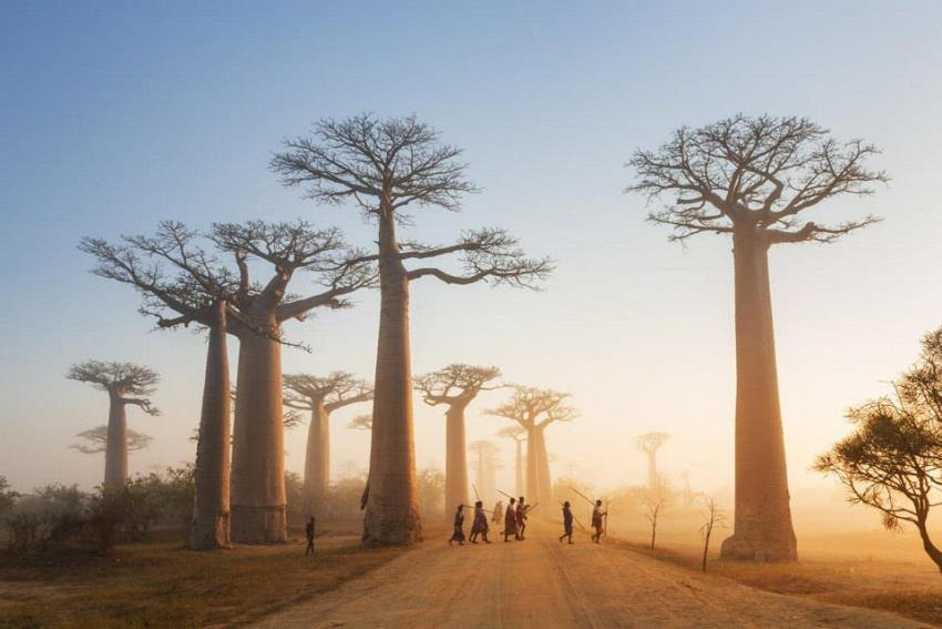 10 điểm đến tuyệt vời nhất định phải ghé khi du lịch Châu Phi
