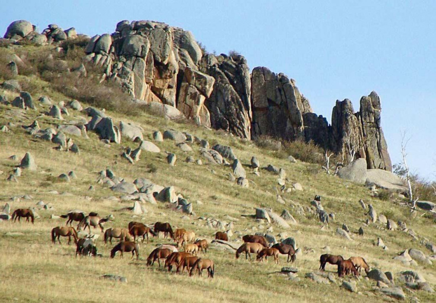 Cẩm nang du lịch Mông cổ, Ulaanbaatar, Gorkhi-Terelj từ A đến Z