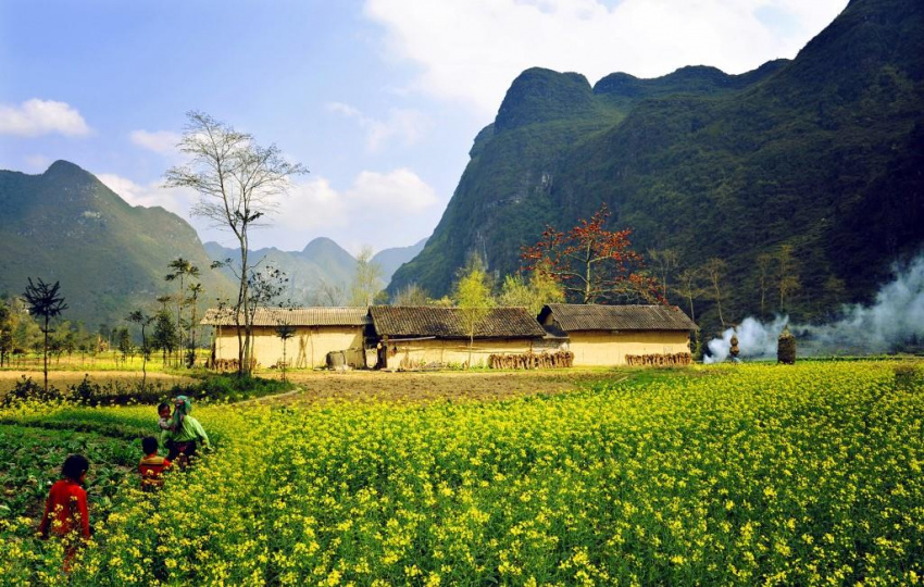 Bốn mùa hoa khoe sắc ở Hà Giang