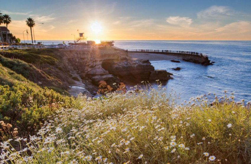 Đến bờ Tây nước Mỹ, San Diego, ngắm nghìn sắc hoa mao lương