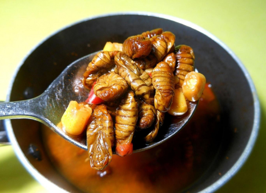Khám phá Beondegi, món ăn độc lạ mà bổ dưỡng xứ Hàn