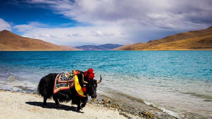 Cẩm nang du lịch Tây Tạng, Lhasa, Tsedang từ A đến Z