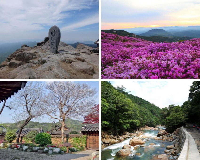 Du lịch Hàn Quốc, về thăm quê hương HLV Park Hang Seo