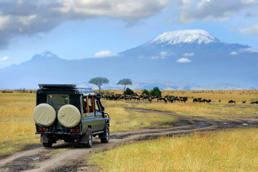 Cẩm nang du lịch Kenya, Maasai Mara từ A đến Z