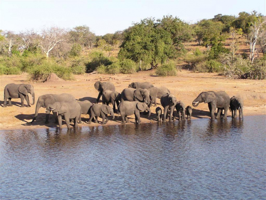 Vẻ đẹp của 6 vườn quốc gia đắt giá nhất Châu Phi