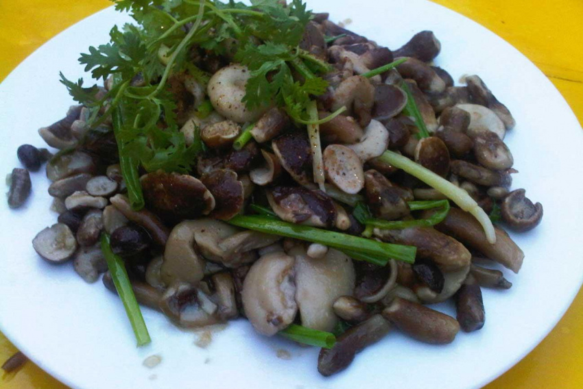6 món ăn nhất định phải thử khi du lịch Quảng Bình