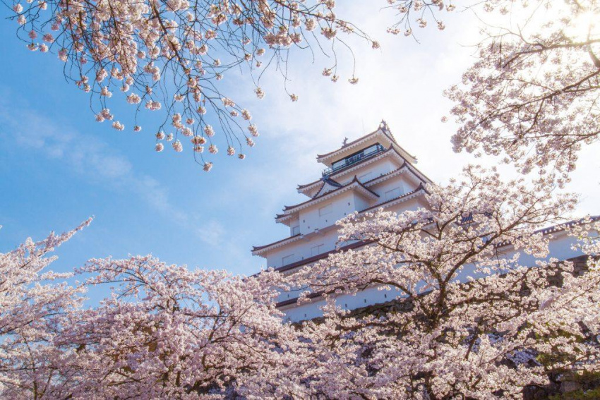 Chiêm ngưỡng mùa xuân trên vùng đất hạnh phúc Fukushima