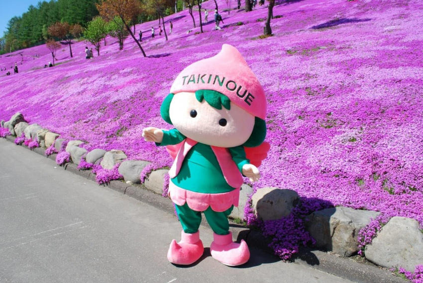 Đi đâu khi du lịch Hokkaido mùa xuân