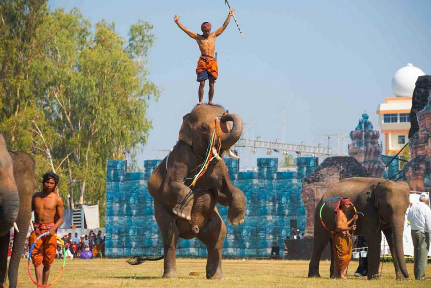 Lễ hội Surin, mùa hạnh phúc của những chú voi
