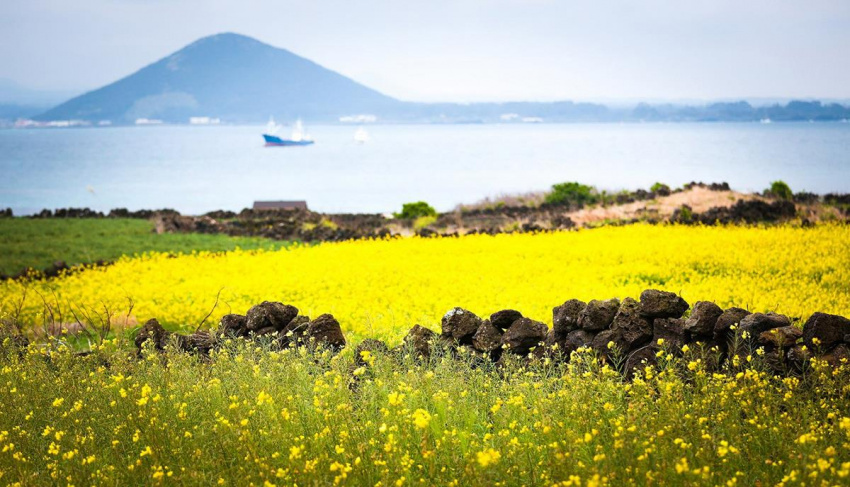 Say đắm thiên đường trên đảo Jeju