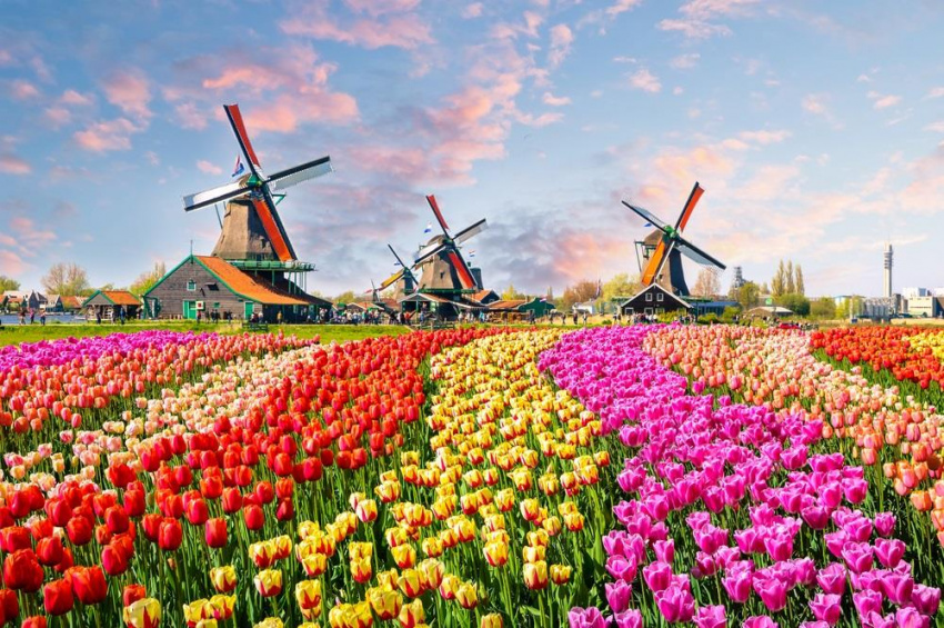 Muôn màu lễ hội ở Hà Lan
