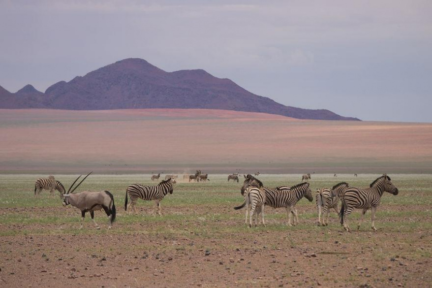 Namibia, bản tình ca nơi hoang dã