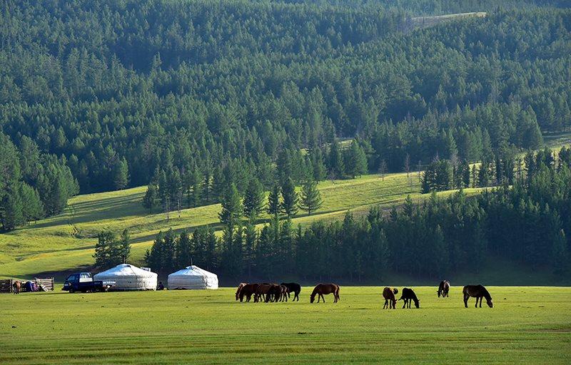 Cẩm nang du lịch Mông Cổ từ A đến Z