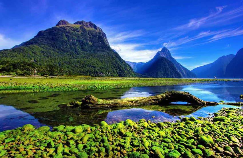 Cẩm nang du lịch New Zealand từ A đến Z