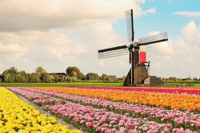 Cẩm nang du lịch Hà Lan từ A đến Z