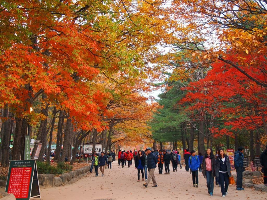 Những điểm check in Hàn Quốc mùa thu