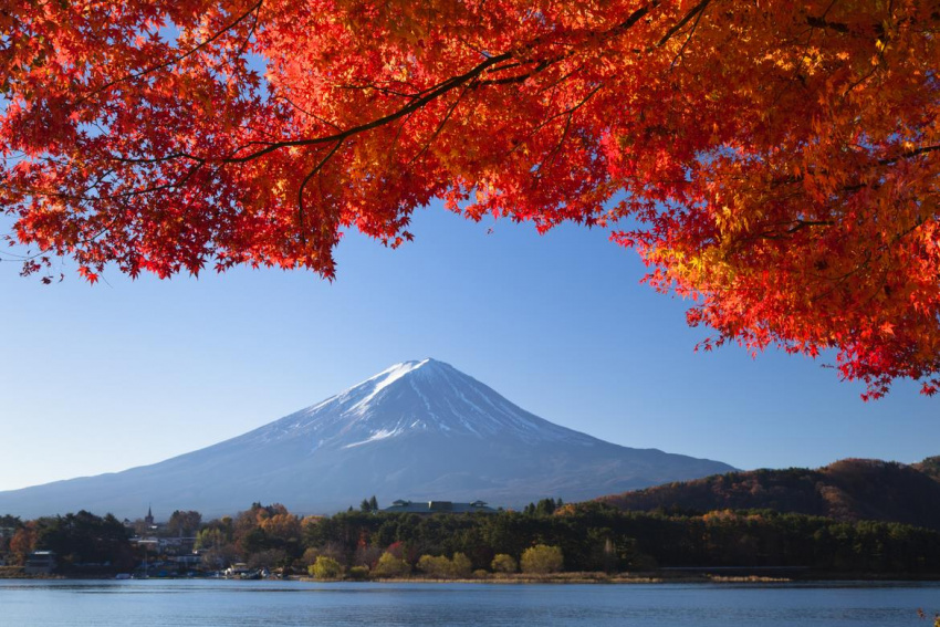 Mê đắm trước khung cảnh mùa lá đỏ ở Nhật Bản