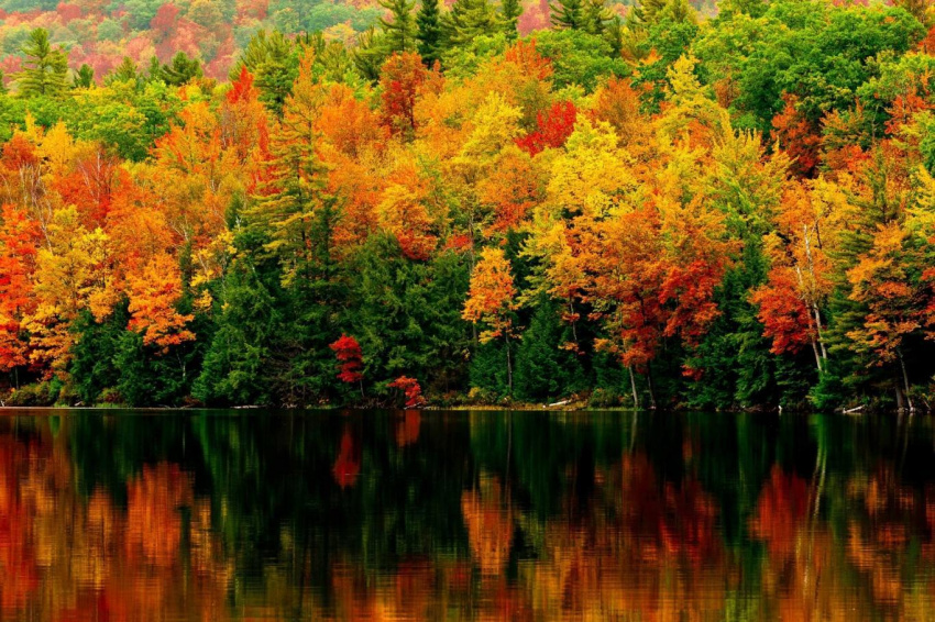 Cảnh sắc quyến rũ của mùa thu Boston nước Mỹ