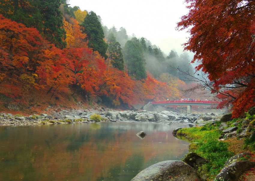 10 trải nghiệm độc đáo ở miền Trung Nhật Bản